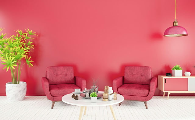 Fuchsia House Paint Fuchsia House Paint