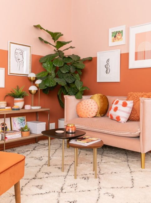 orange paint colors for living room orange paint colors for living room