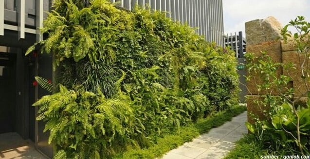 hedge ideas hedge ideas