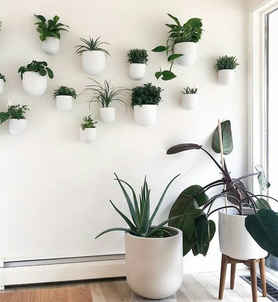 Small Garden Inspirations in the House Small Garden Inspirations in the House