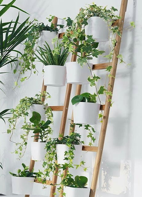 Small Garden Inspirations in the House Small Garden Inspirations in the House