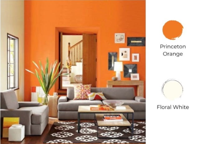 2 colour combination for living room 2 colour combination for living room