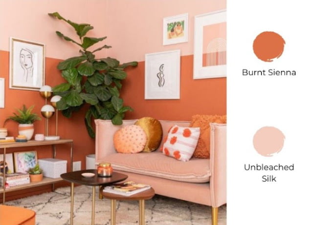 2 colour combination for living room 2 colour combination for living room