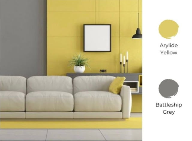 2 colour combination for living room 2 colour combination for living room