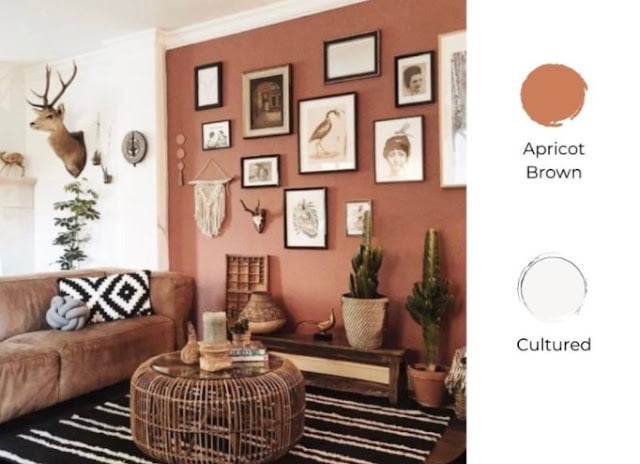 2 colour combination for living room 2 colour combination for living room