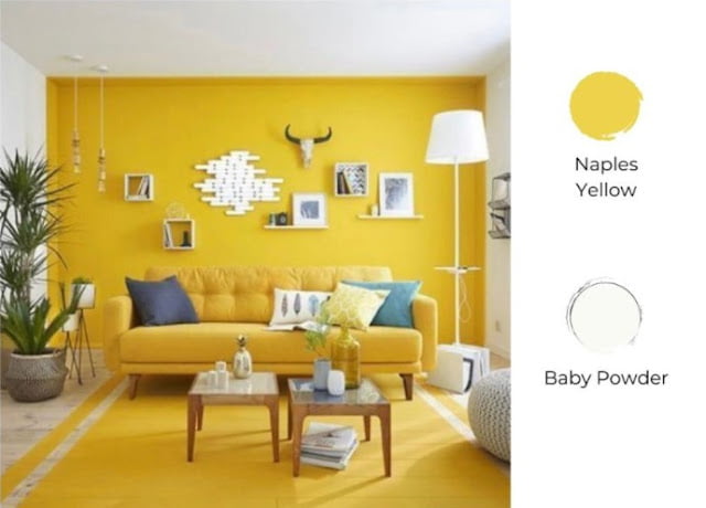 2 colour combination for living room 2 colour combination for living room