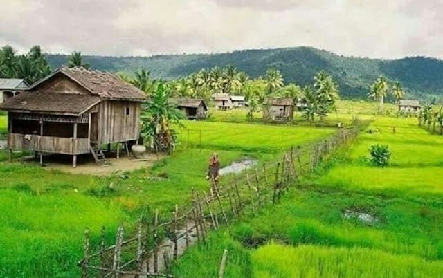 Small Houses in Village Small Houses in Village