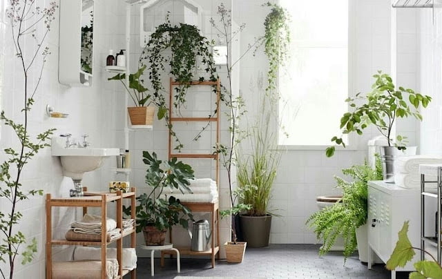 Small Garden Inspirations in the House Small Garden Inspirations in the House