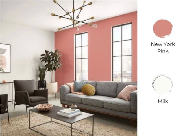 2 colour combination for living room 2 colour combination for living room