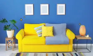 blue yellow wall paint color