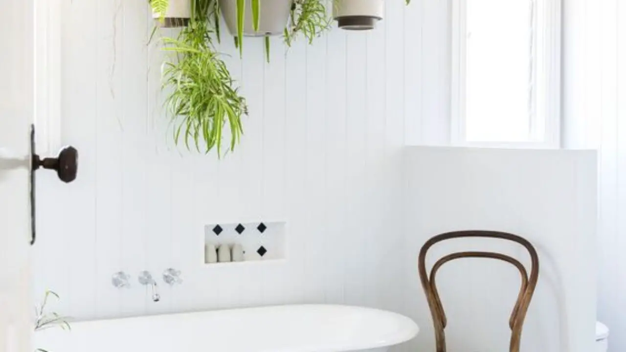 bathroom-decorated-plants-5